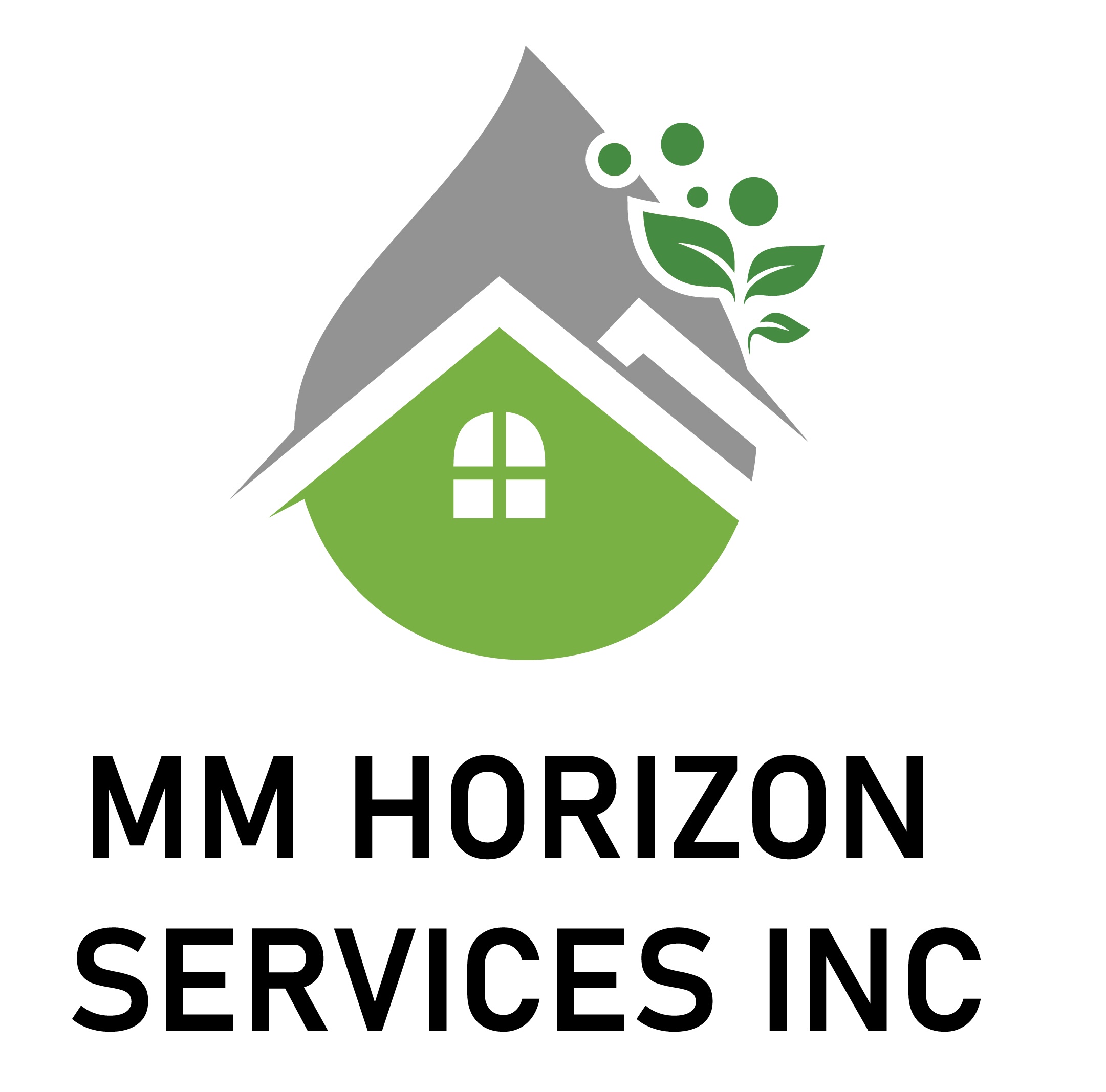 MM HORIZON SERVICES INC